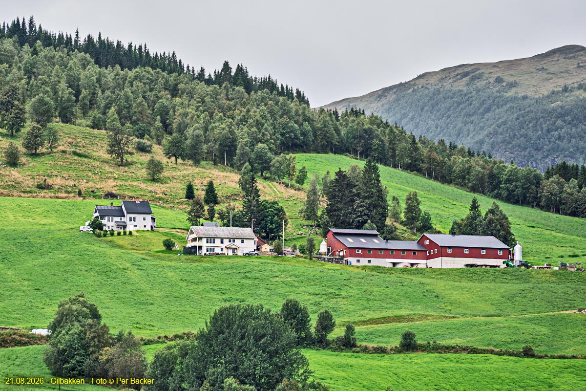 Gilbakken