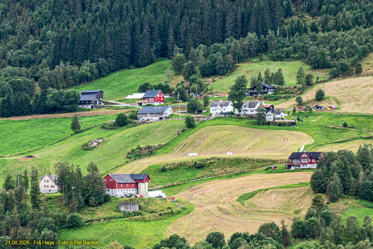 Frå Haga