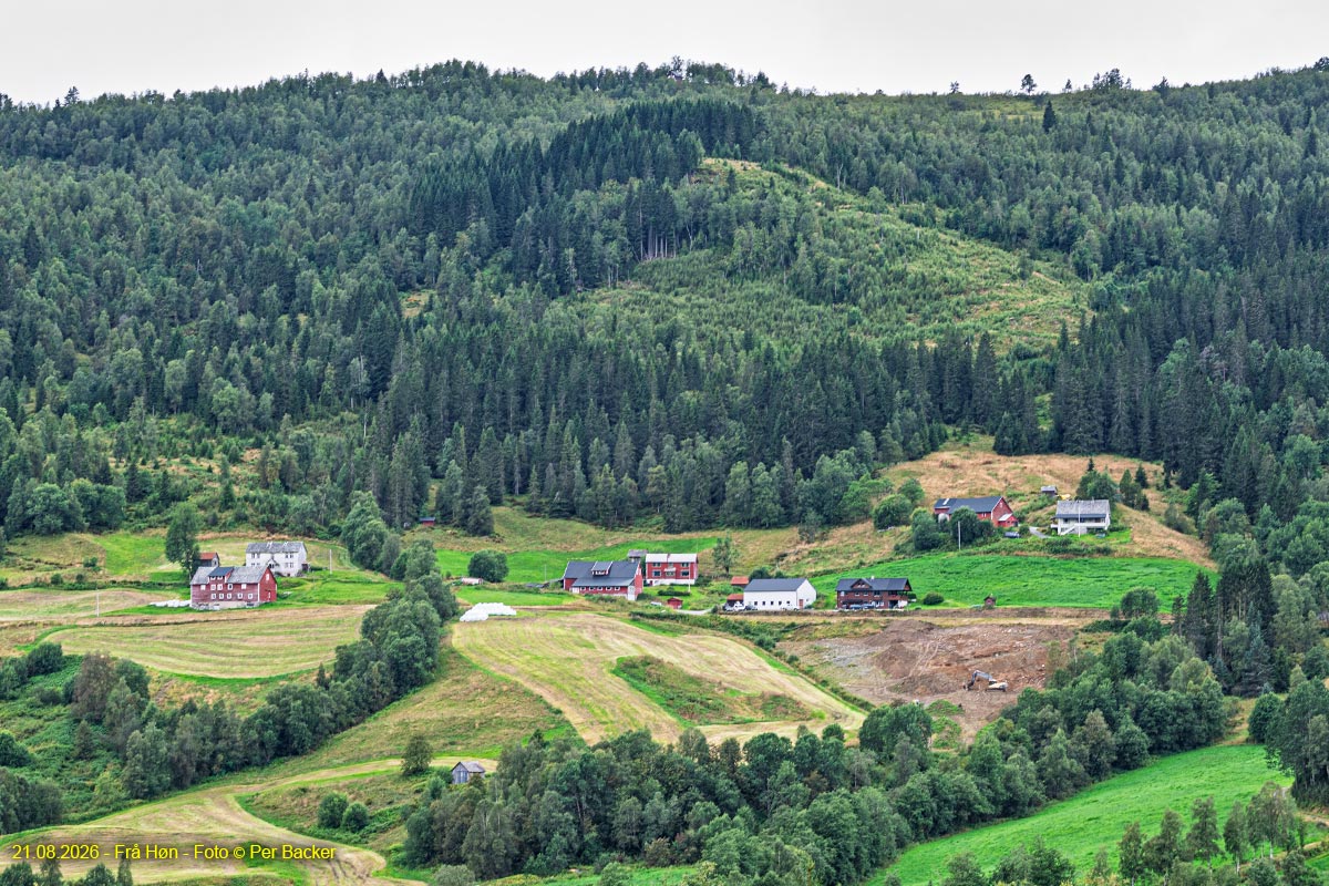 Frå Høn