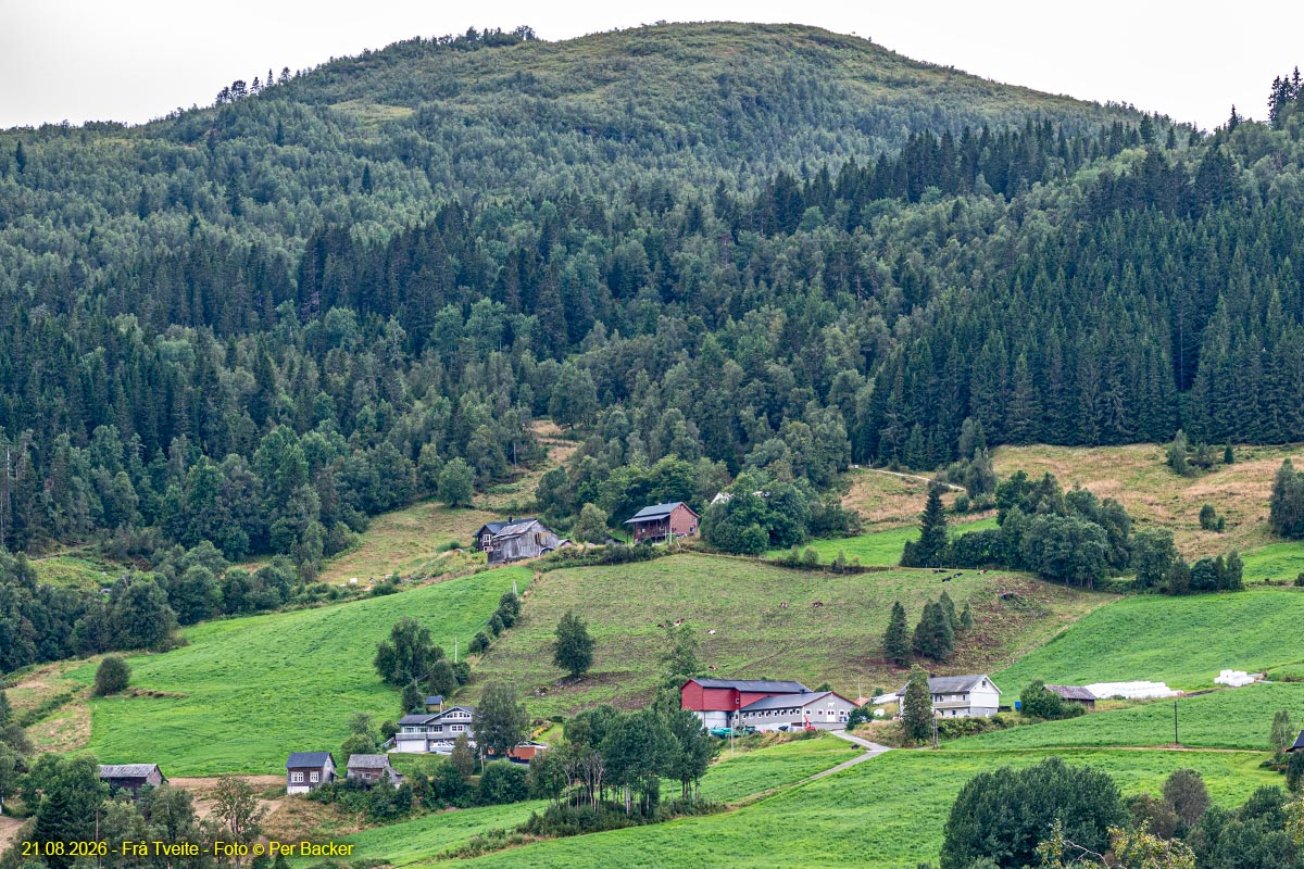 Frå Tveite