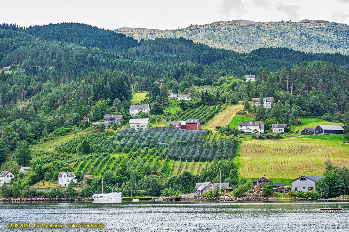 Frå Vambheim