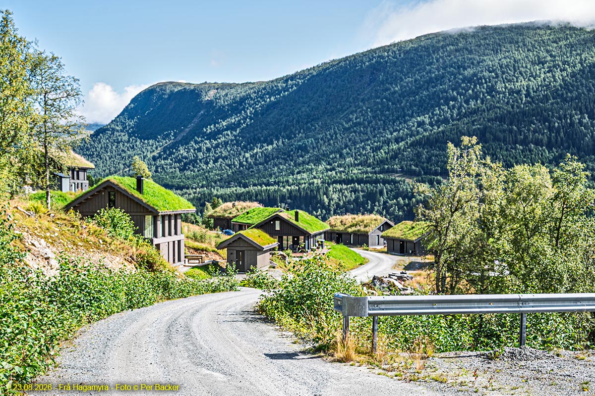 Frå Hagamyra
