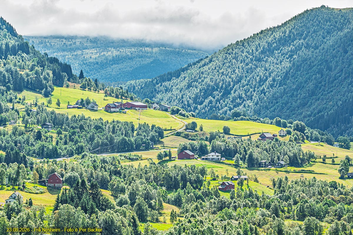 Frå Nesheim