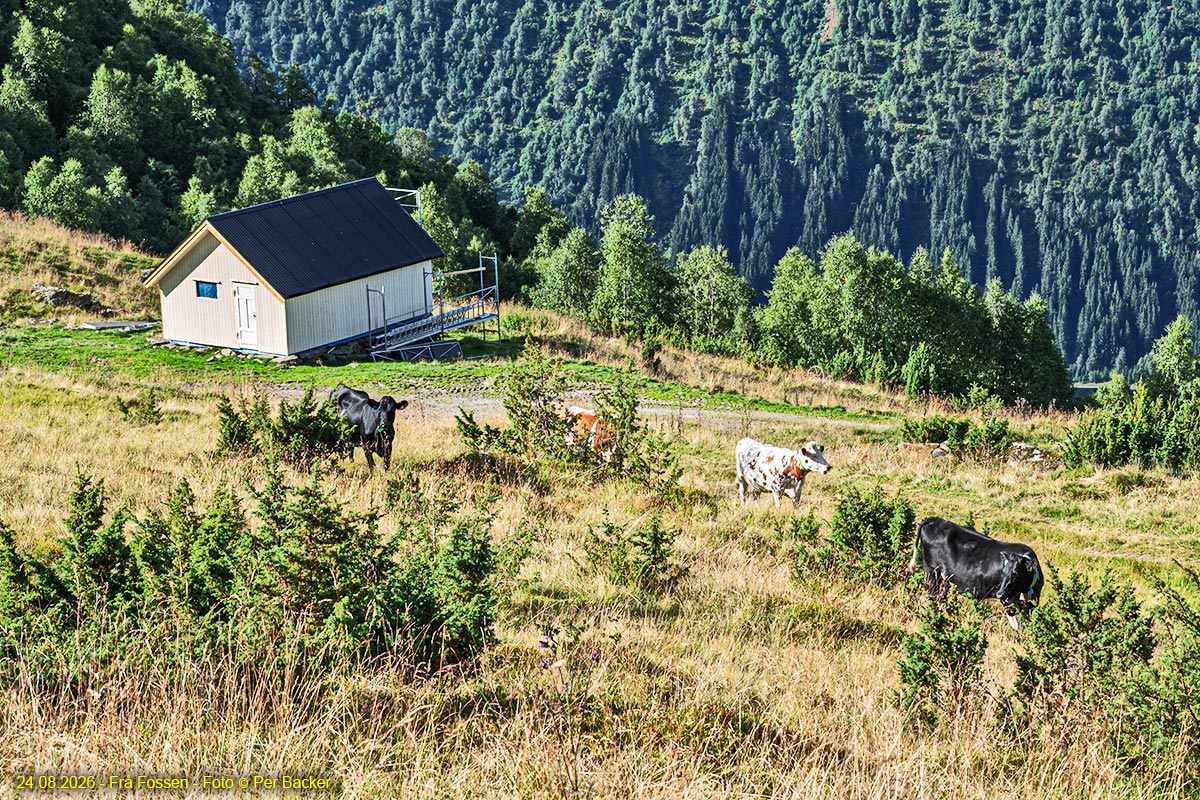 Frå Fossen