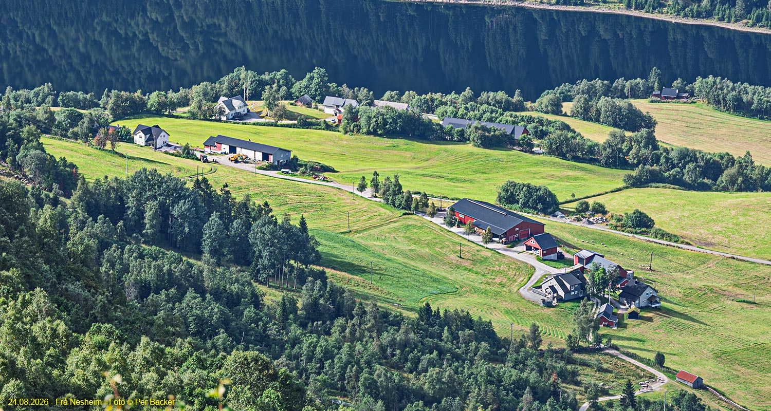 Frå Nesheim