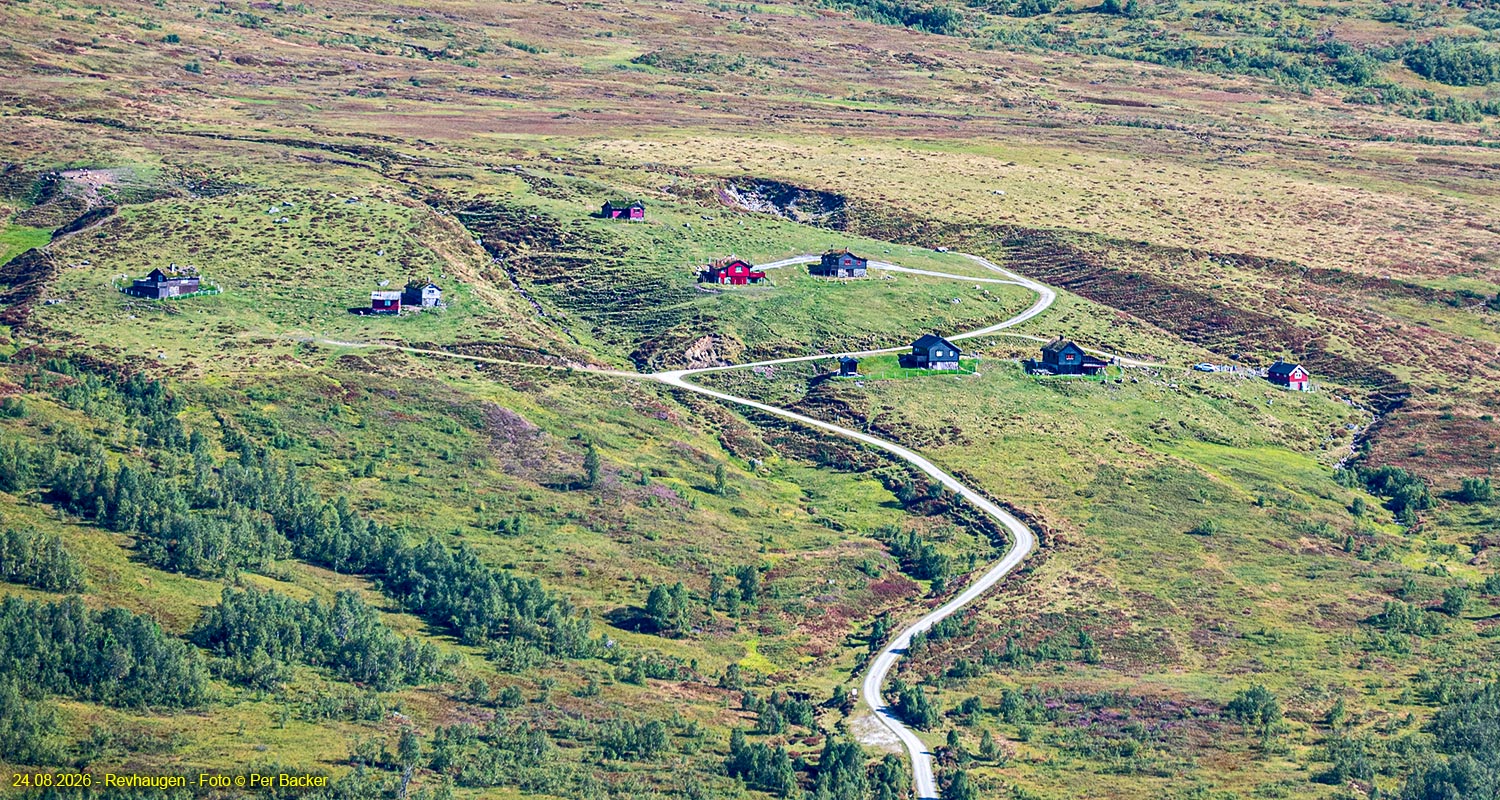 Revhaugen