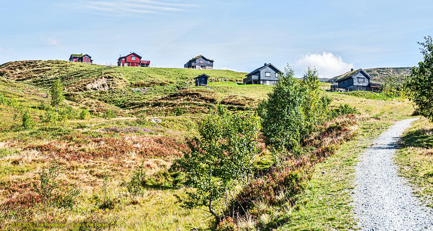 Frå Revhaugen