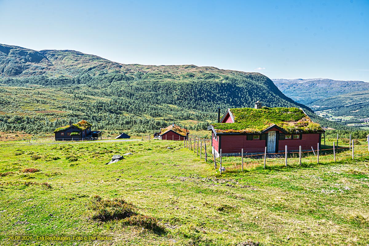 Frå Revhaugen