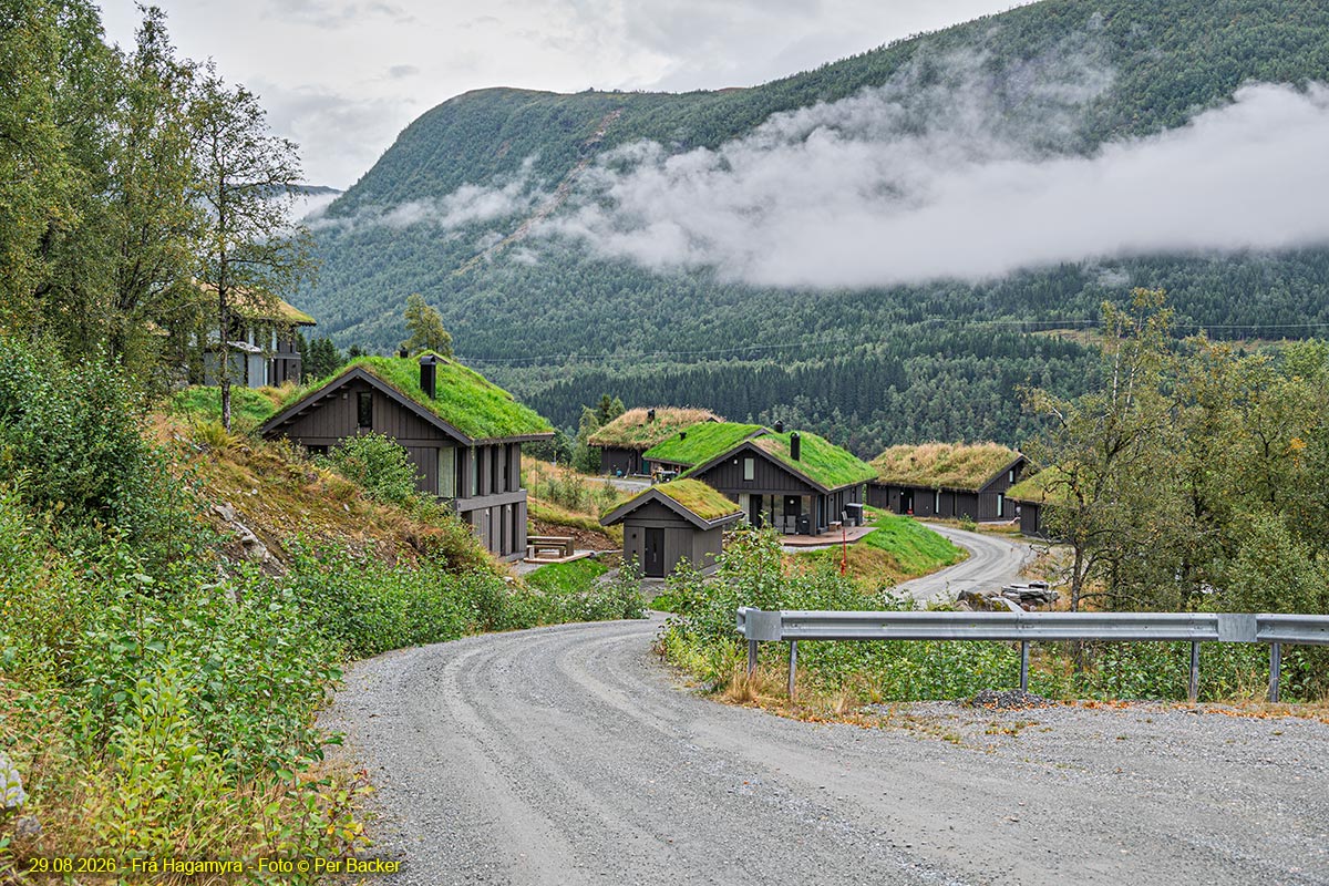 Frå Hagamyra