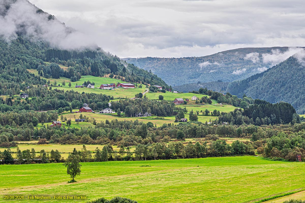 Frå Nesheim