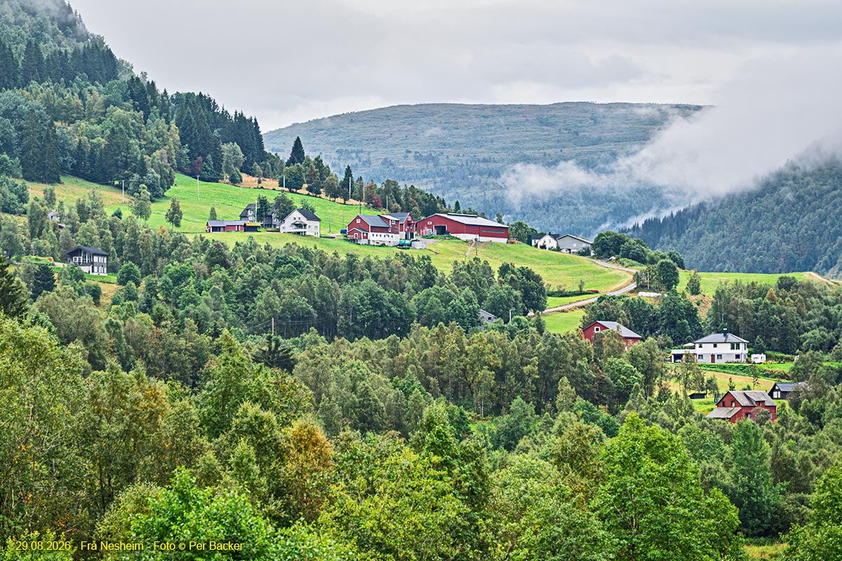 Frå Nesheim
