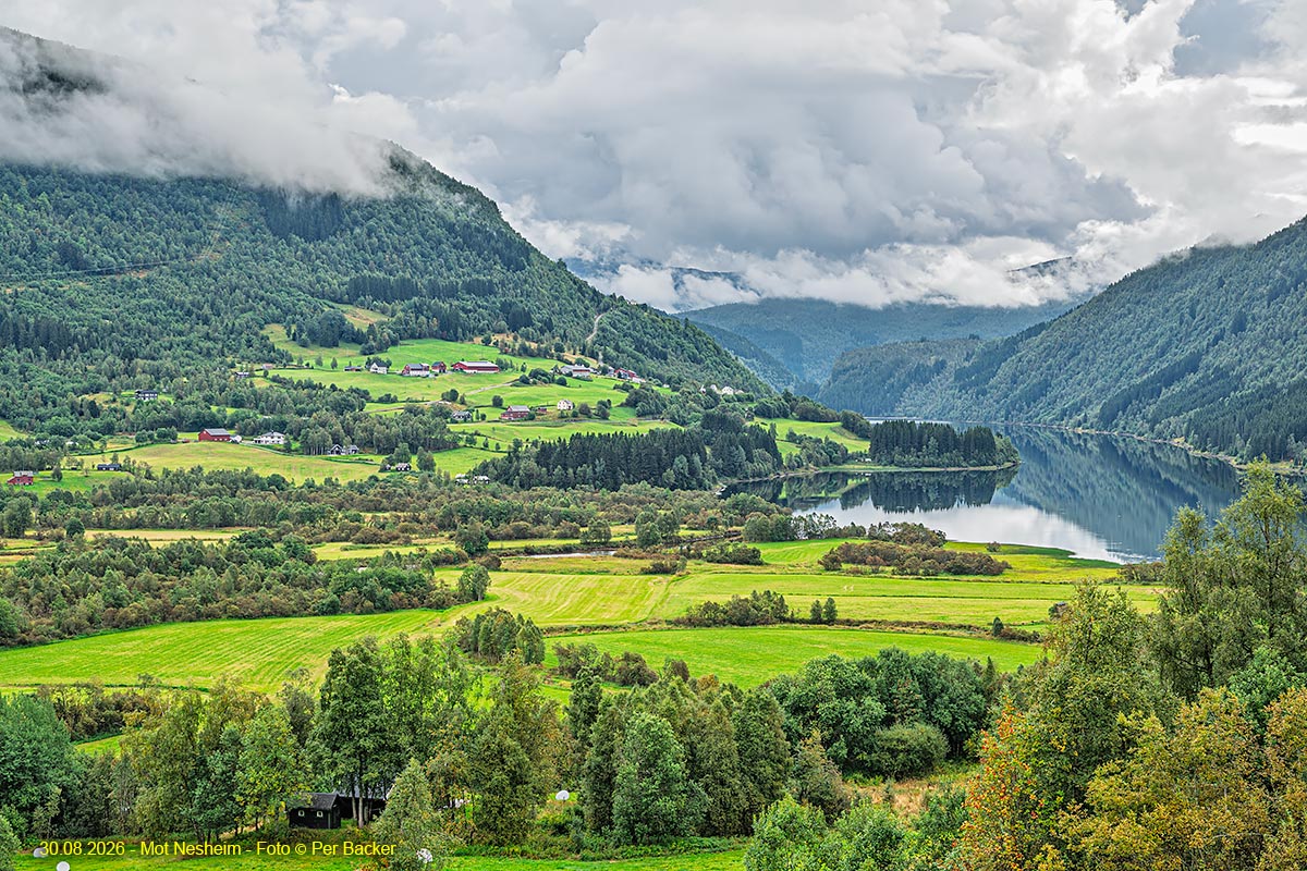 Frå Nesheim