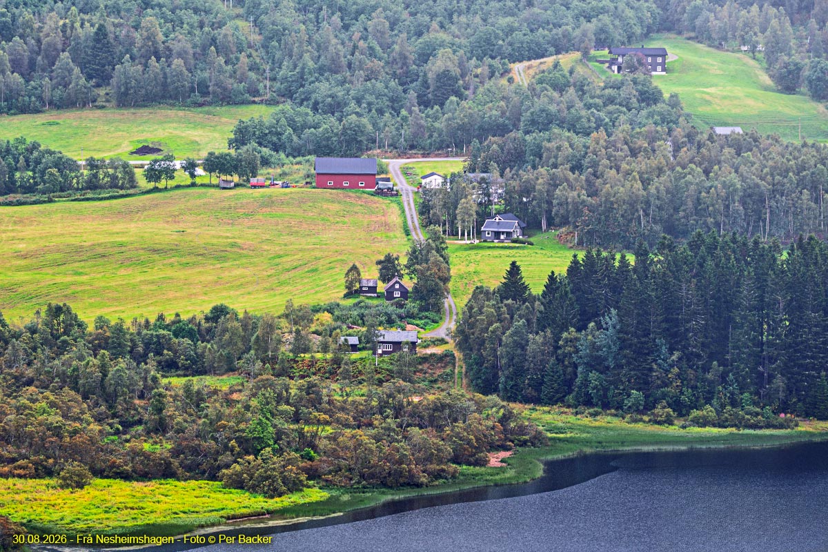 Frå Nesheimshagen