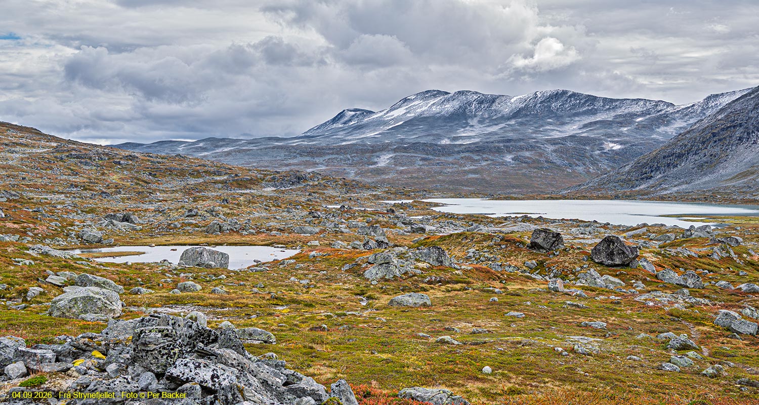 Frå Strynefjellet