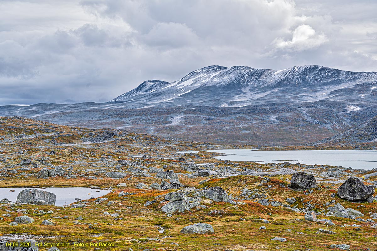 Frå Strynefjellet