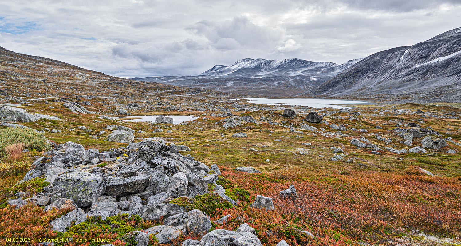 Frå Strynefjellet