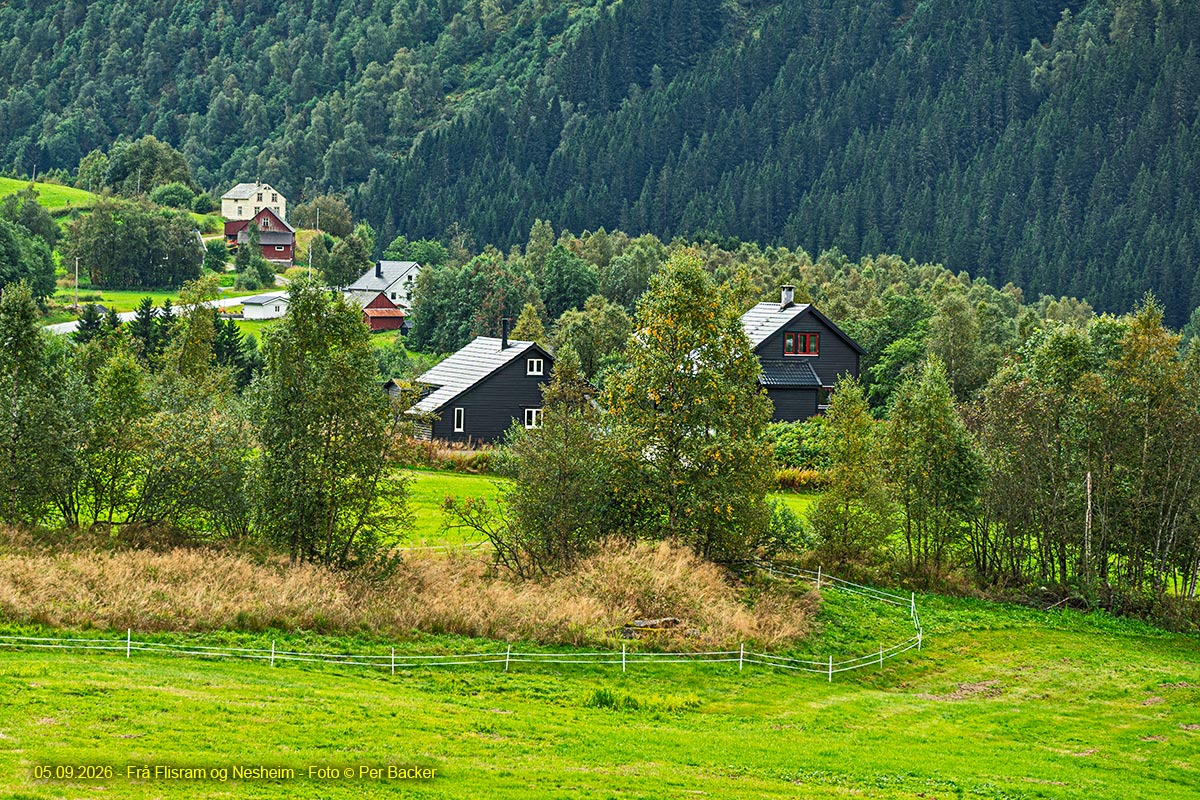 Frå Flisram og Nesheim