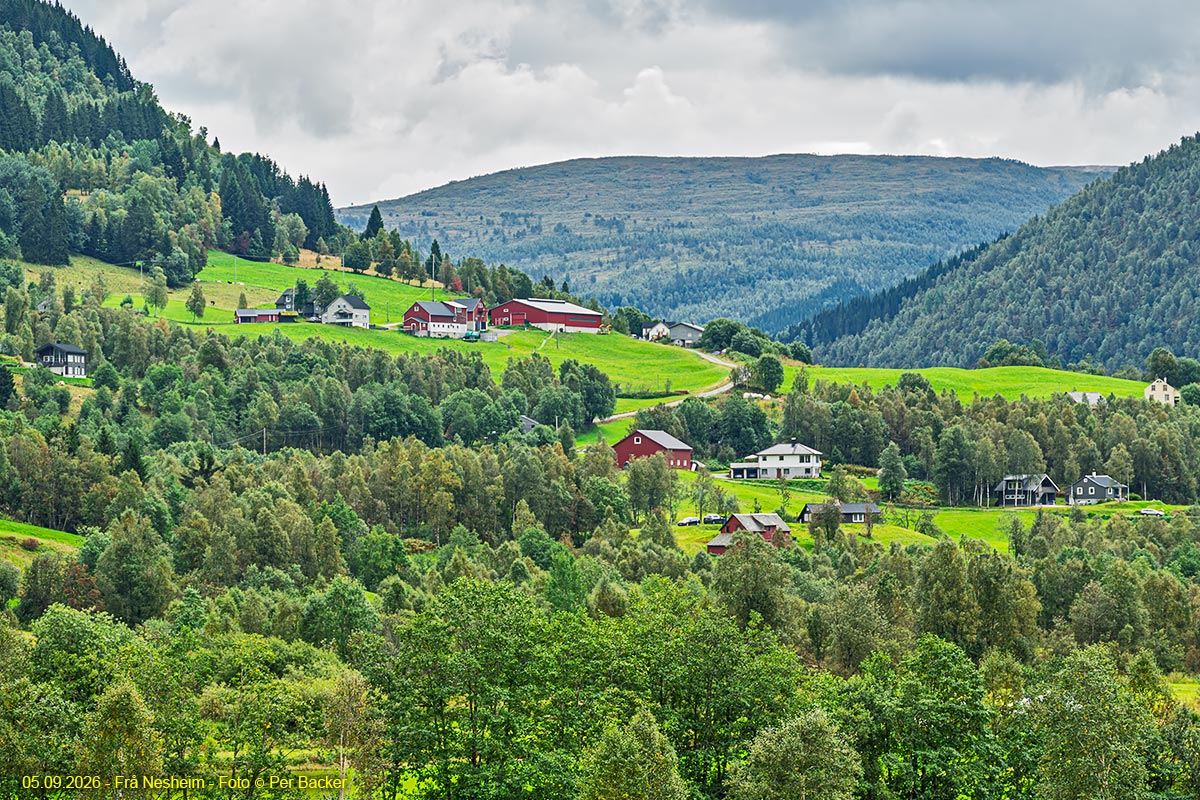 Frå Nesheim