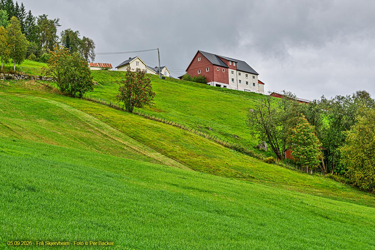 Frå Skjervheim