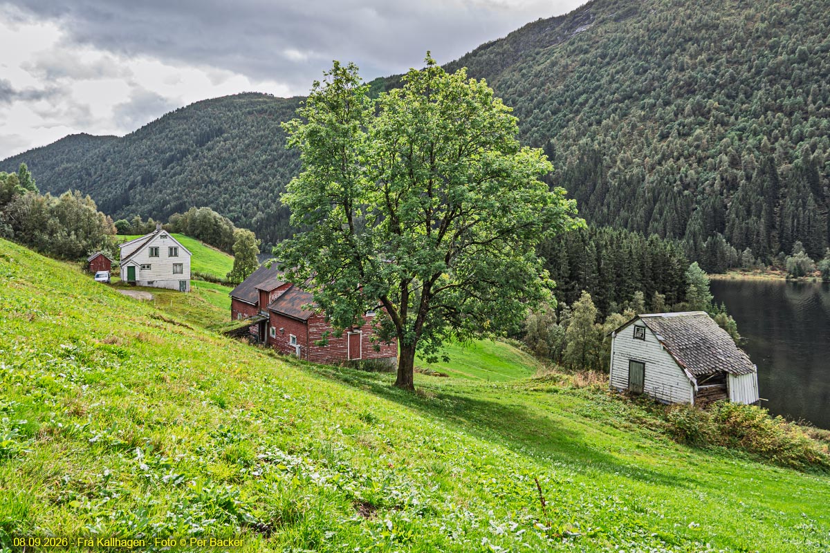 Kallhagen