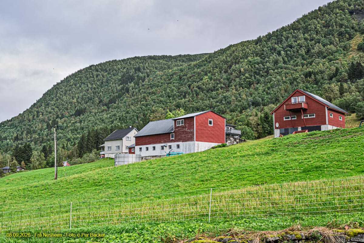 Frå Nesheim