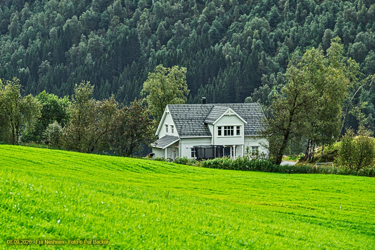 Frå Nesheim