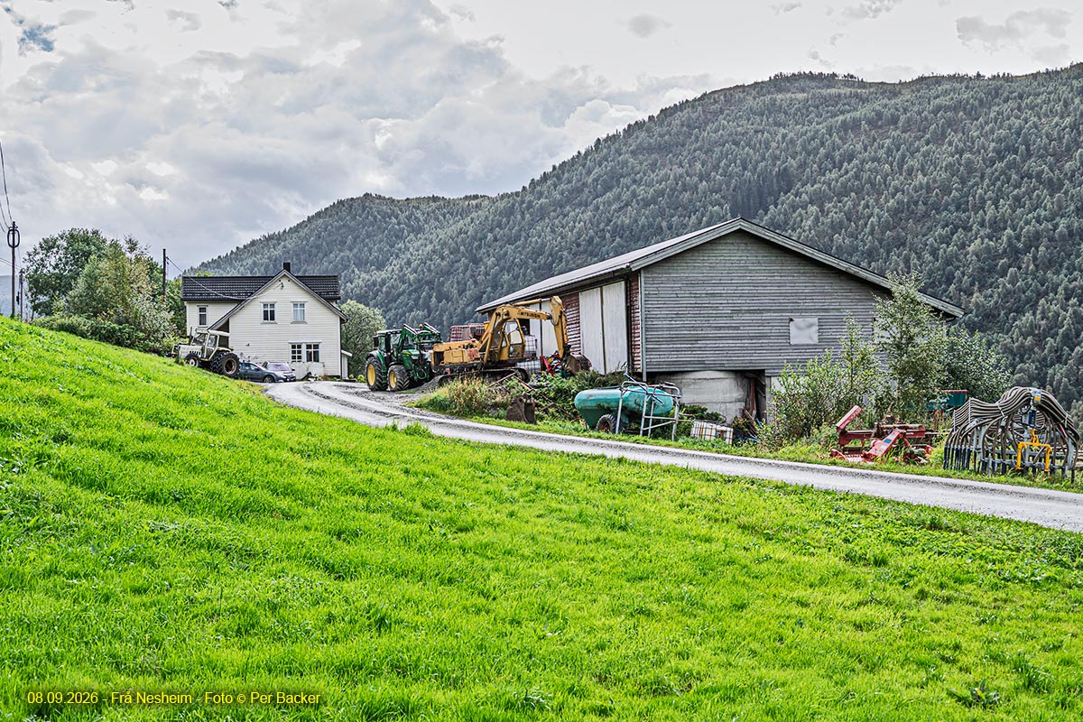 Frå Nesheim
