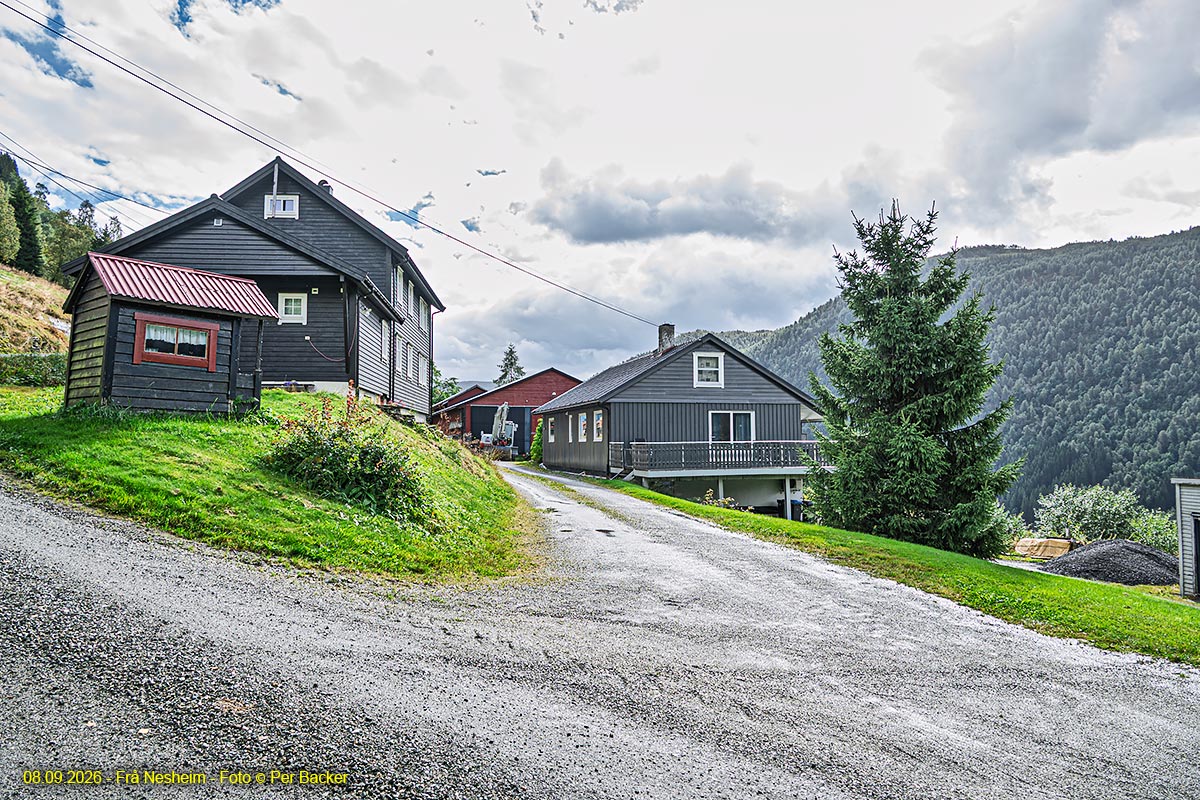 Frå Nesheim