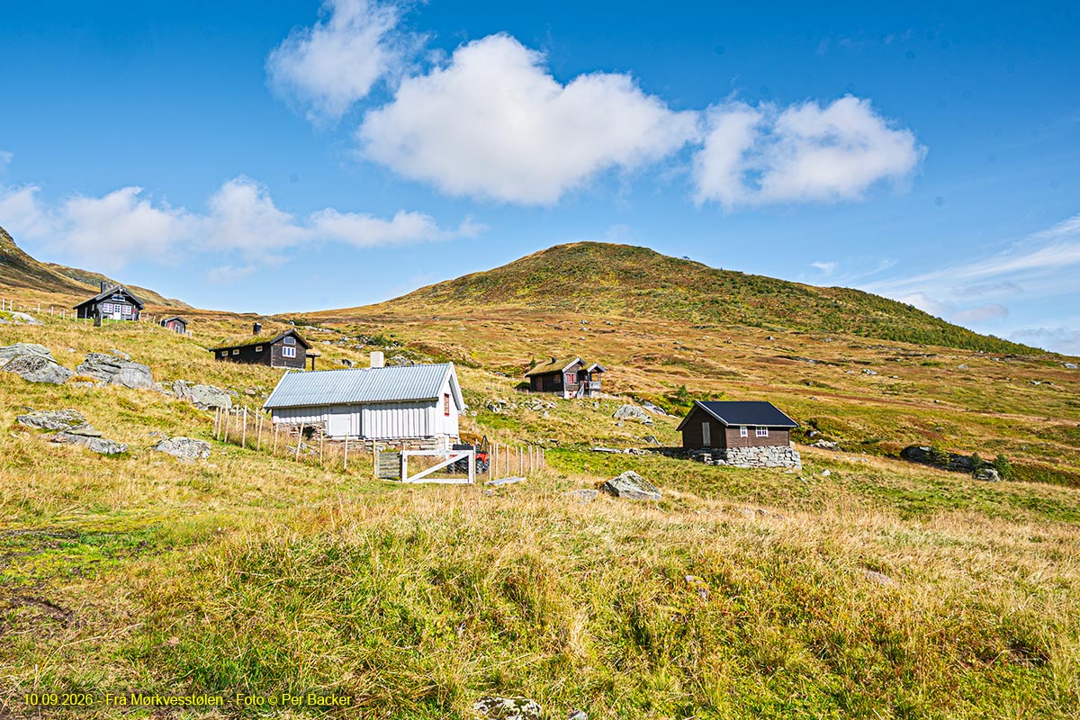 Frå Mørkvesstølen