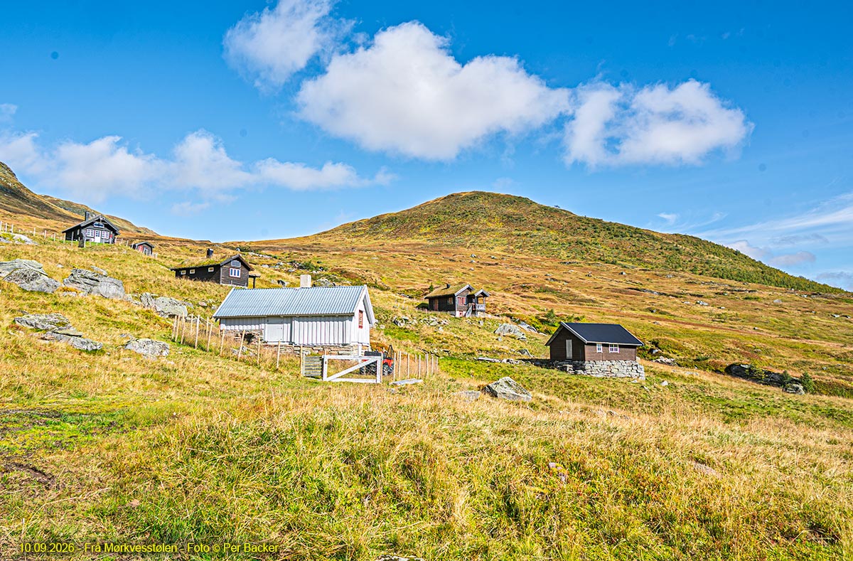 Frå Mørkvesstølen