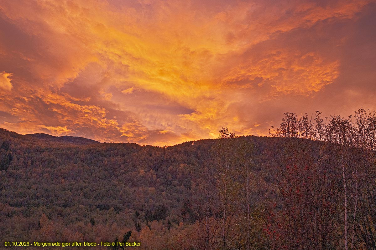 Morgenrøde gjør aften bløde - Red sky in the morning, shepherd's warning
