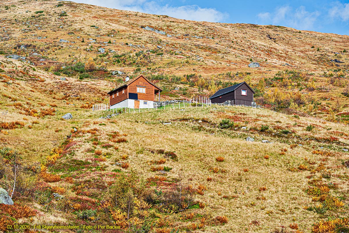 Frå Skjervheimsstølen