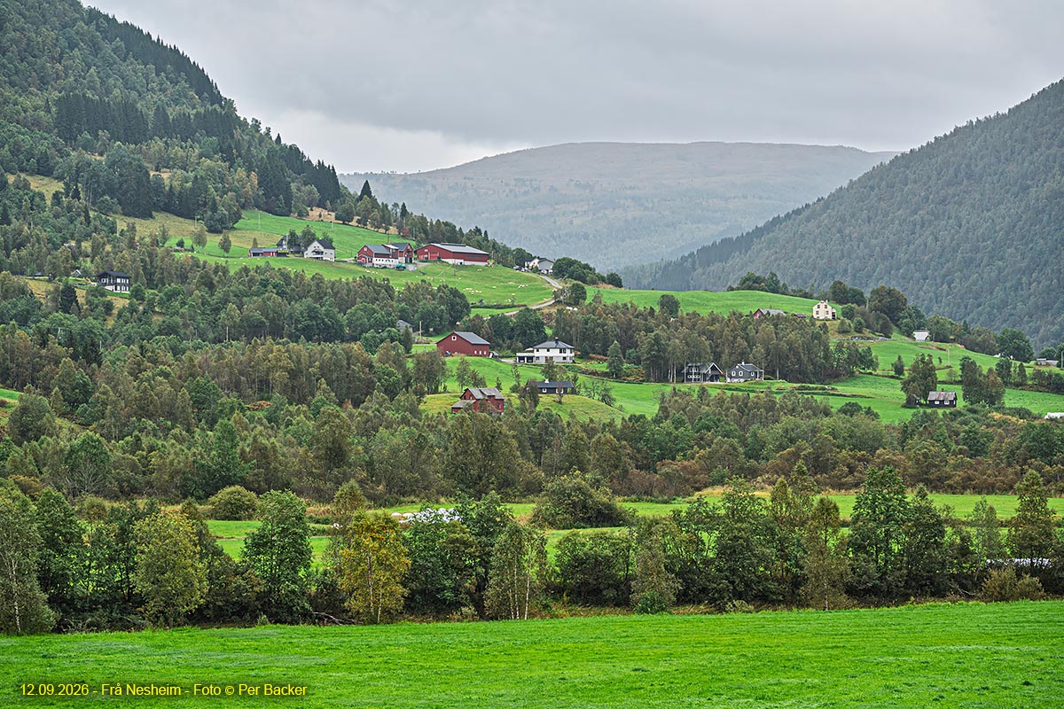 Frå Nesheim
