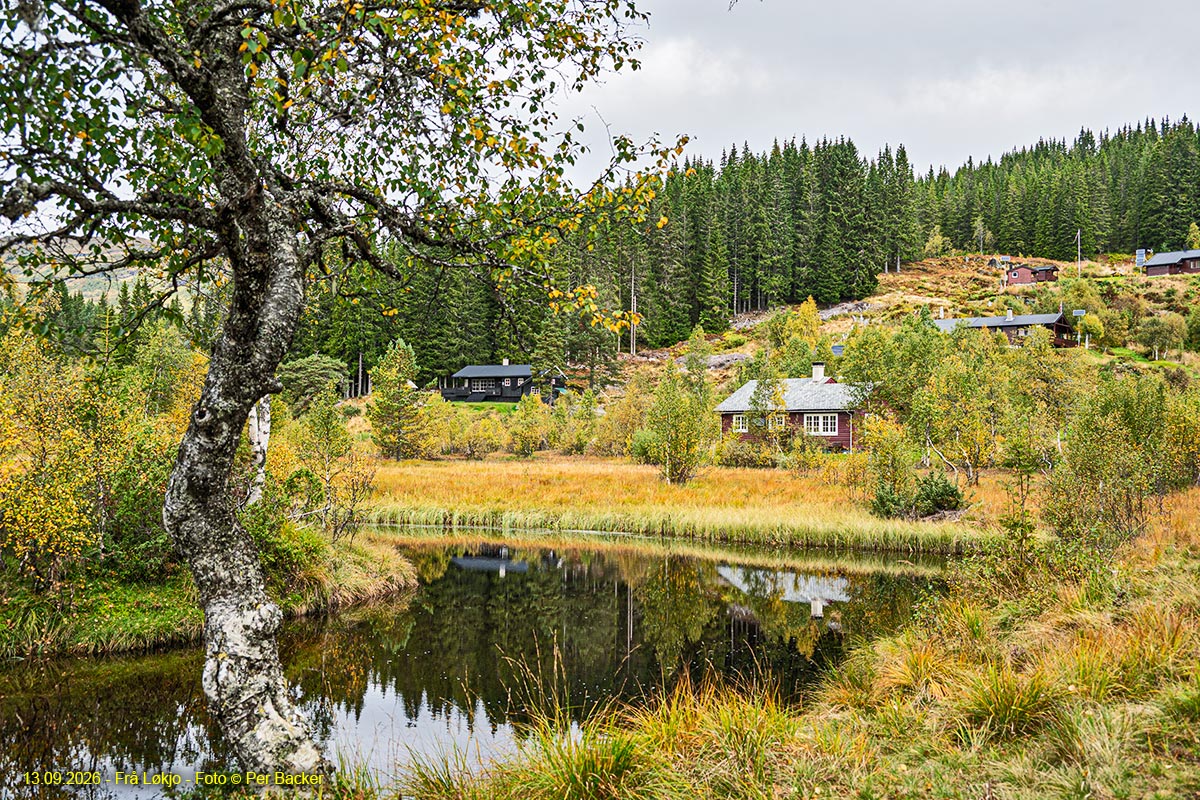 Frå Løkjo