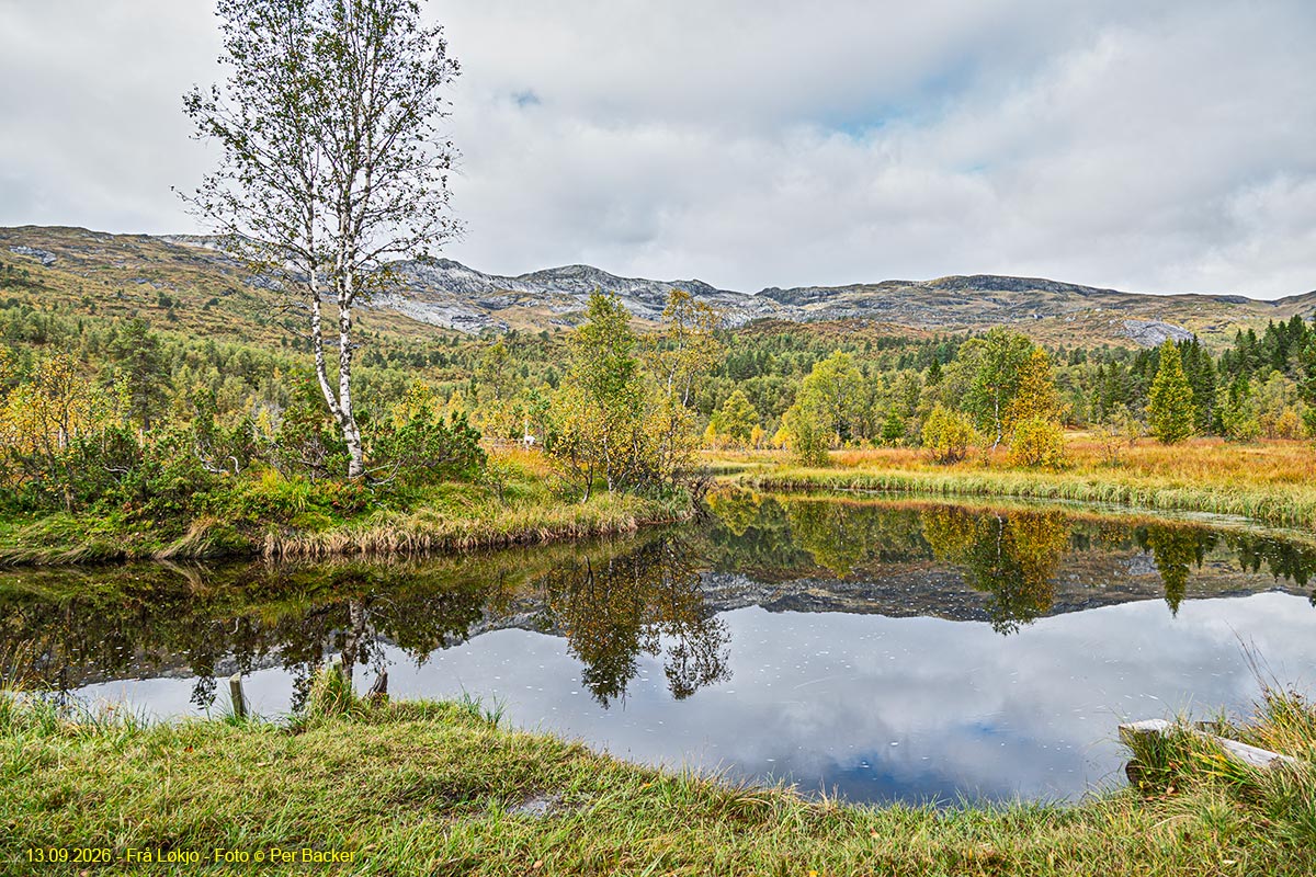 Frå Løkjo