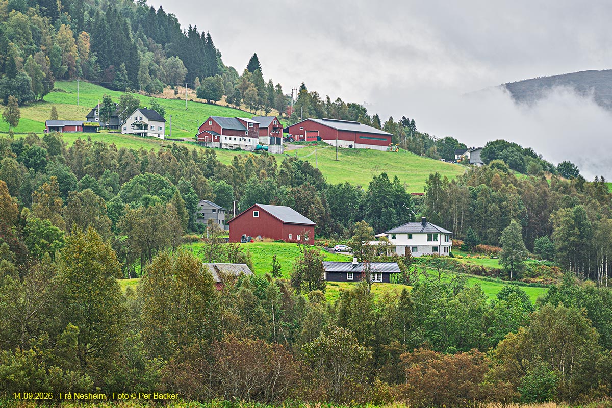 Frå Nesheim