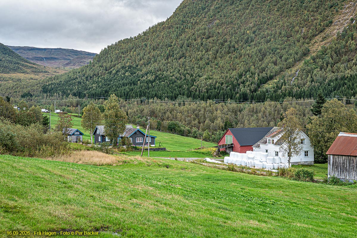 Frå Hagen