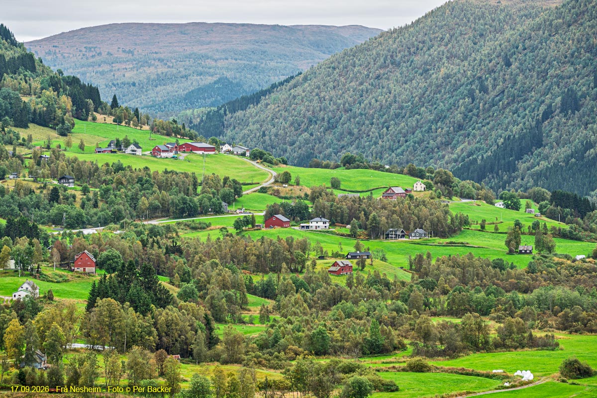 Frå Nesheim