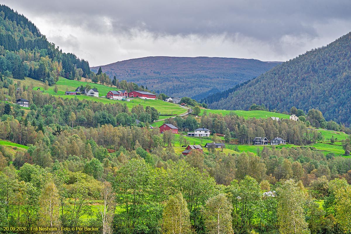 Frå Nesheim