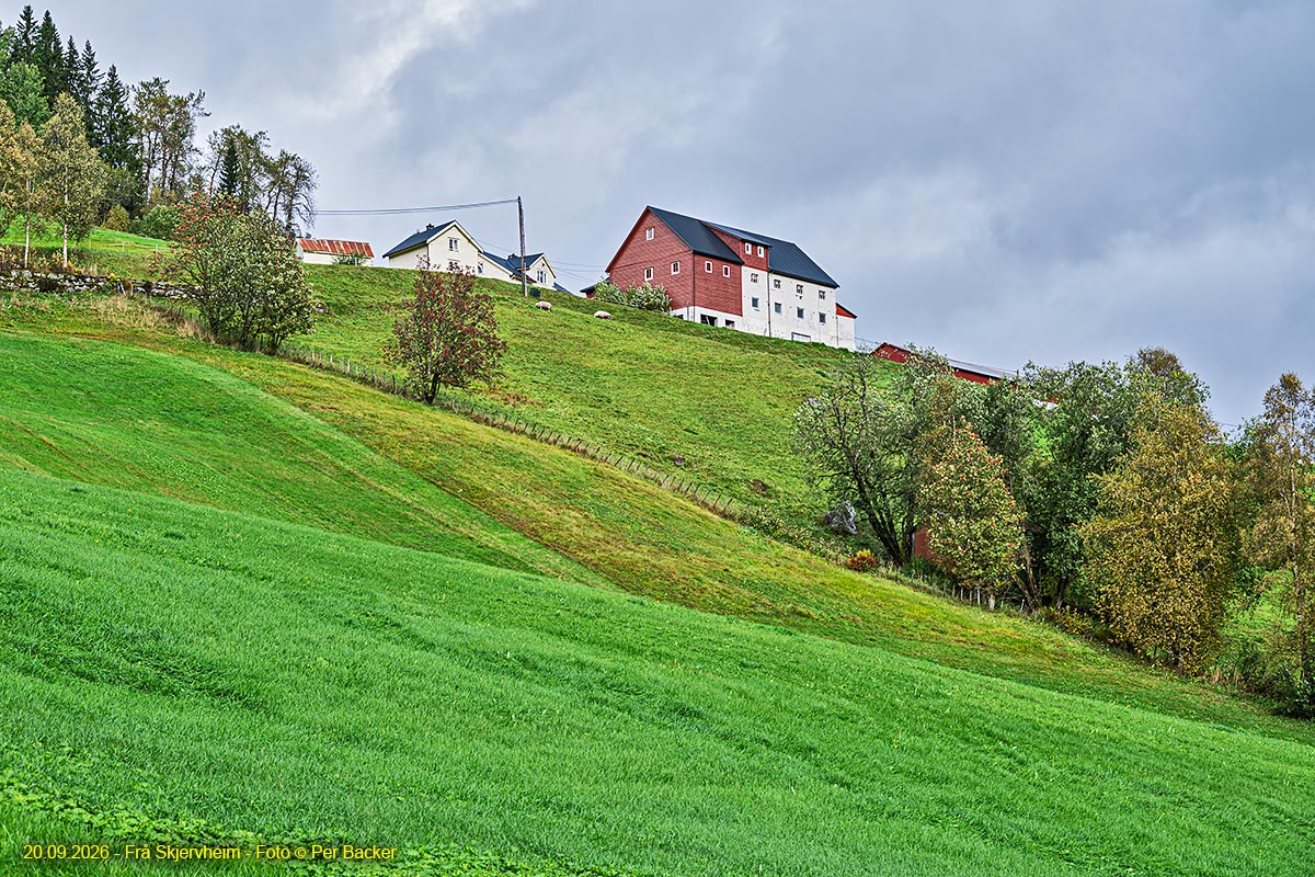 Frå Skjervheim