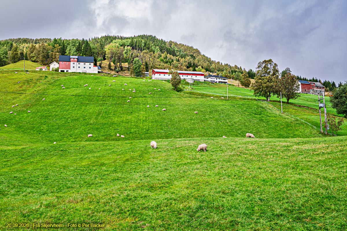 Frå Skjervheim