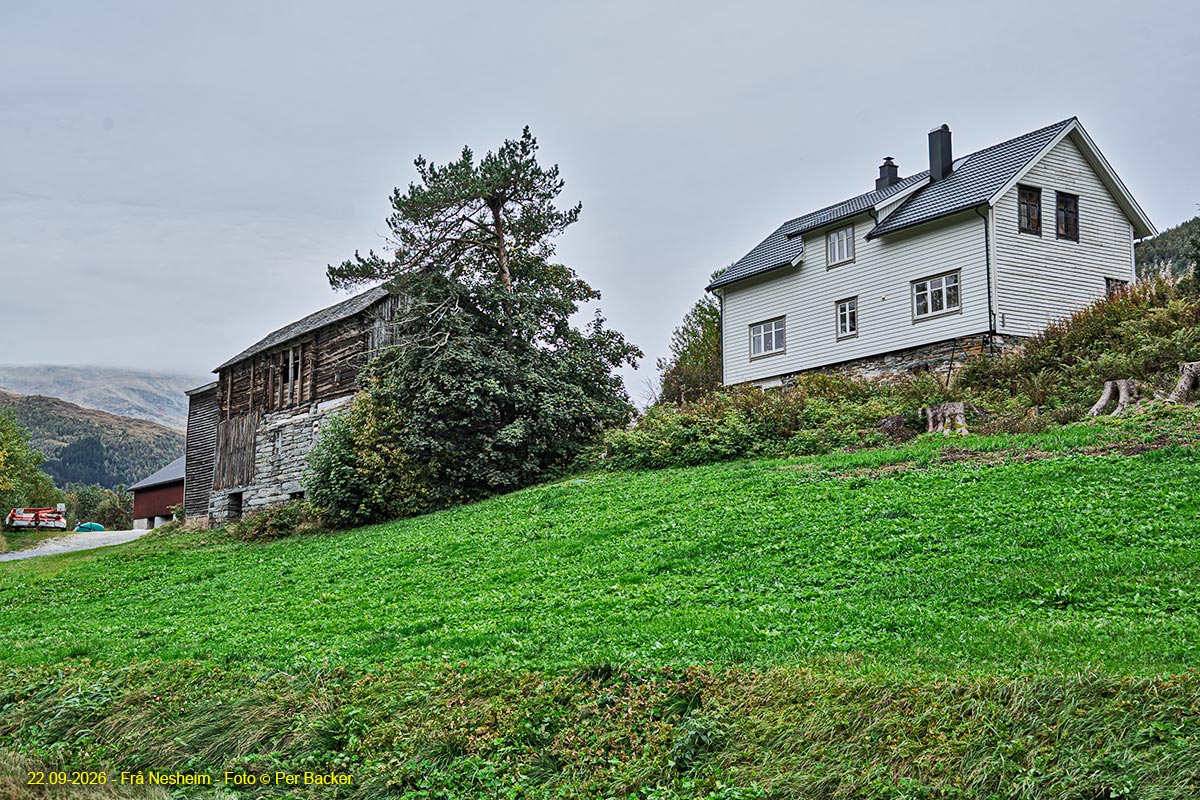 Frå Nesheim