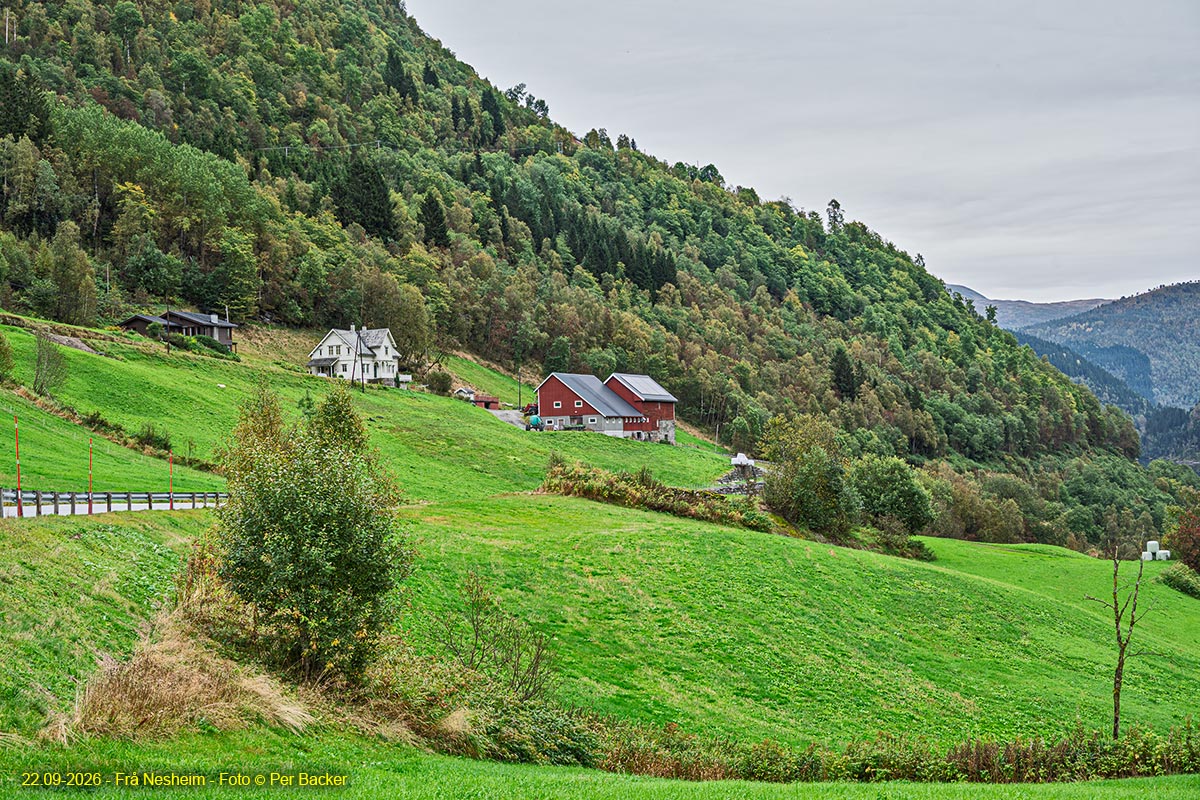 Frå Nesheim
