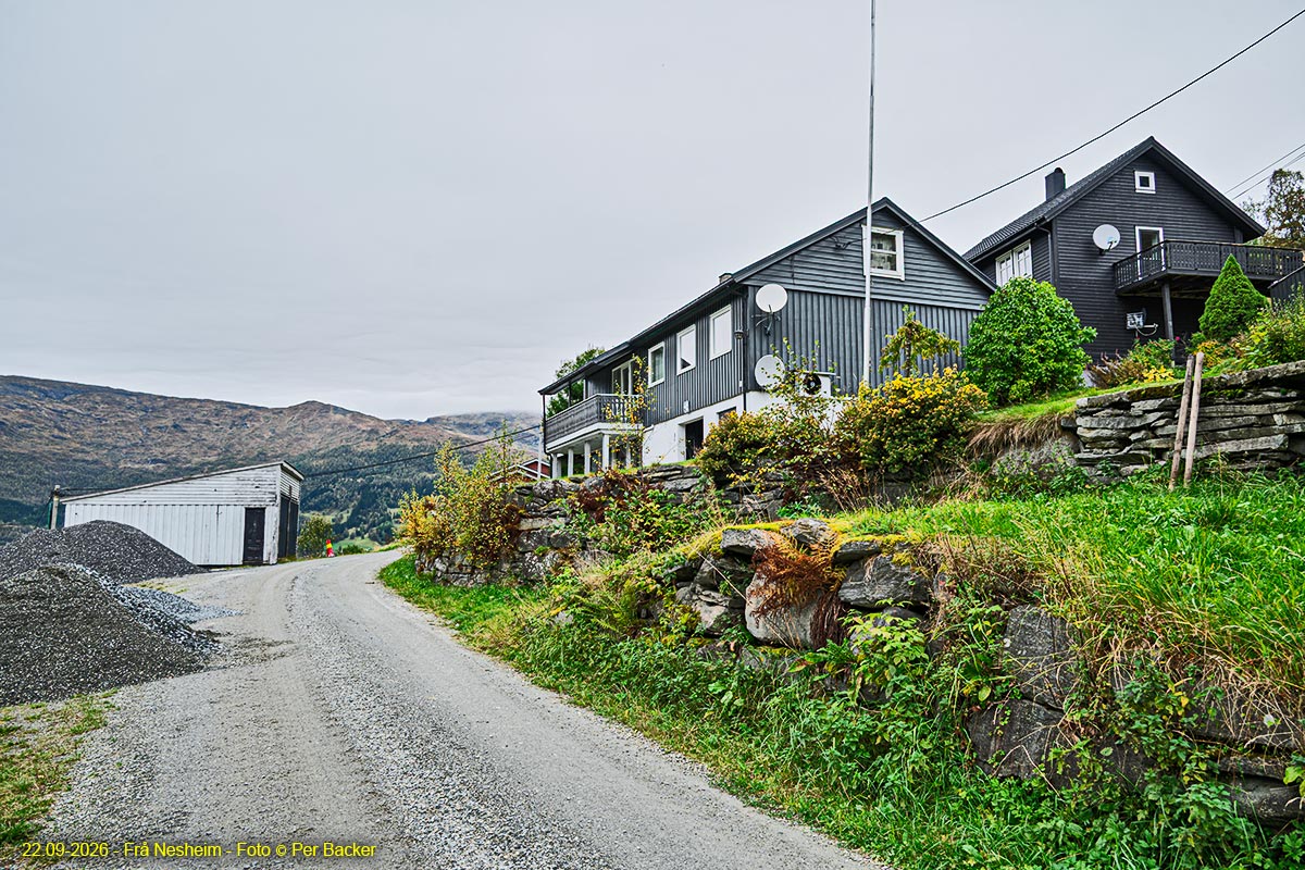 Frå Nesheim
