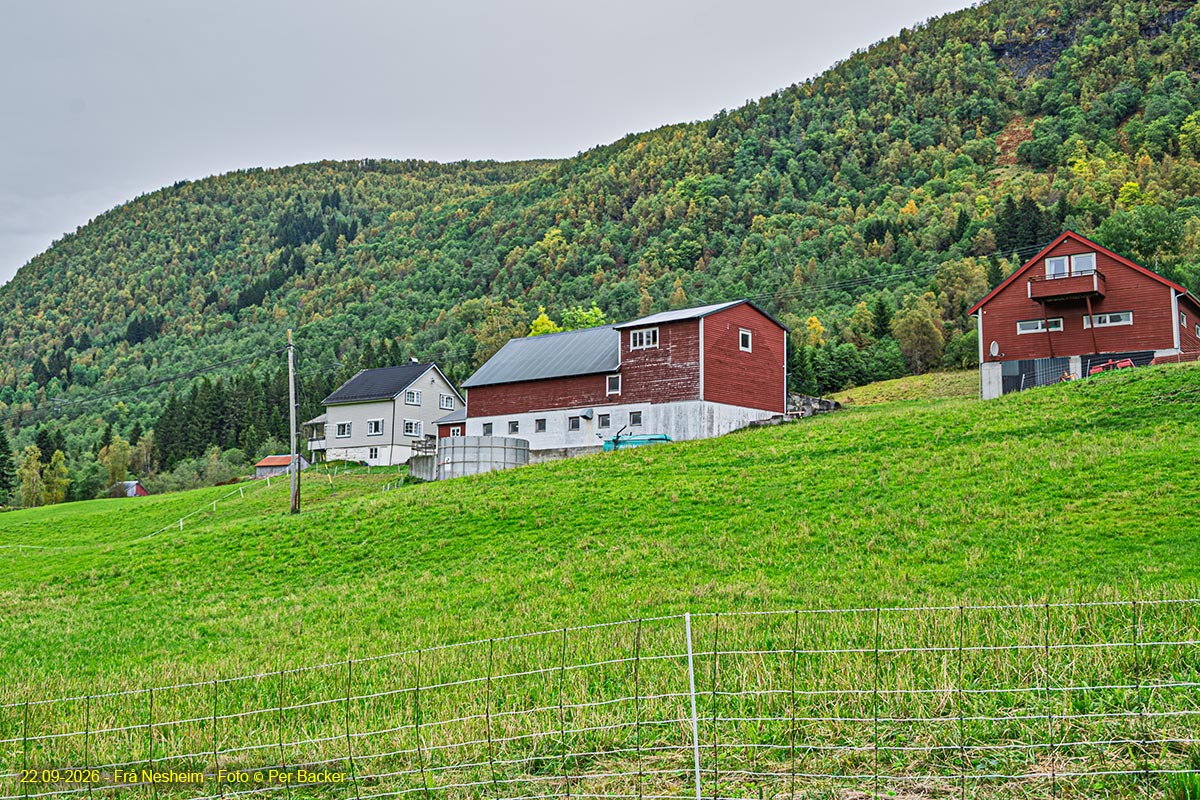 Frå Nesheim