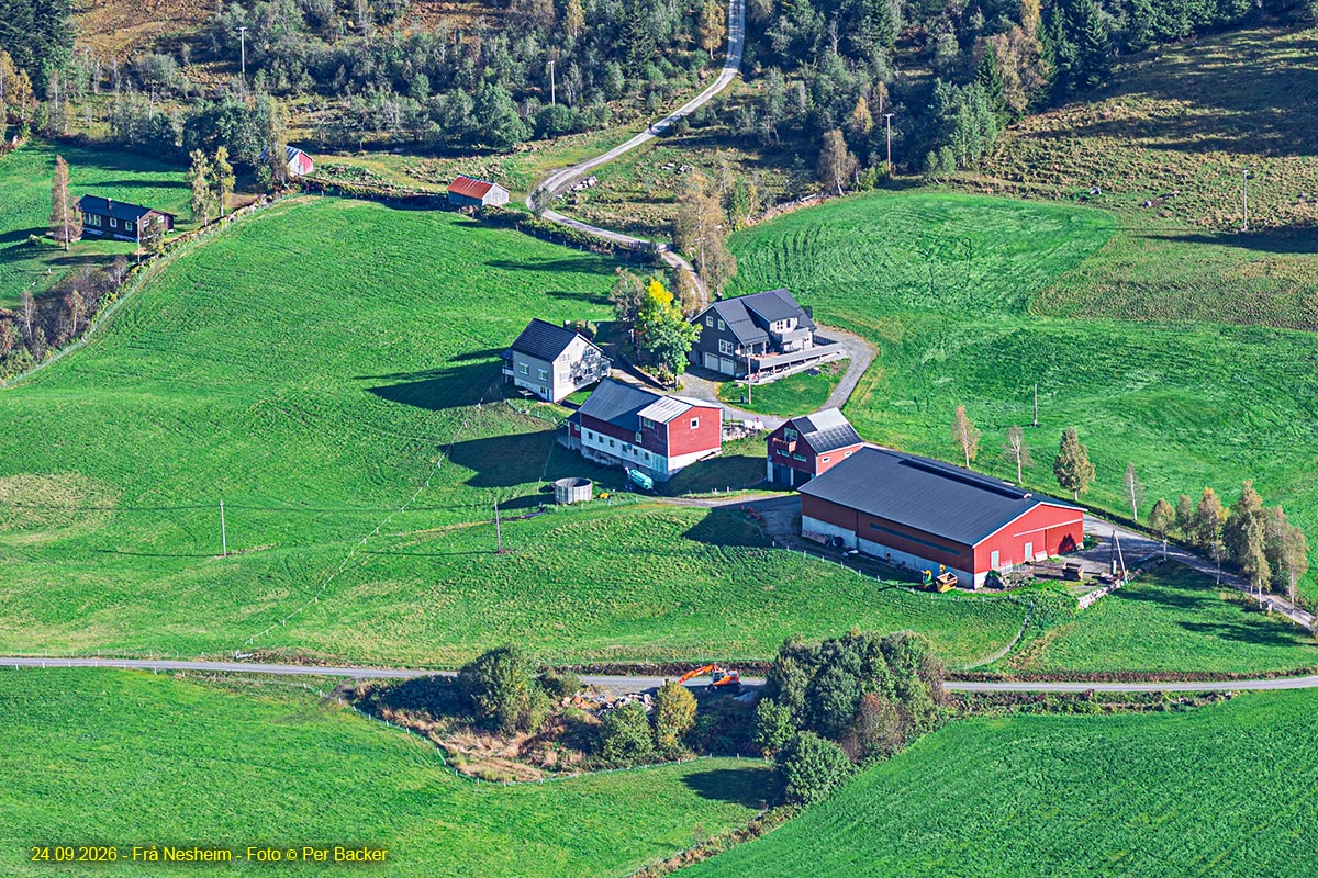 Frå Nesheim