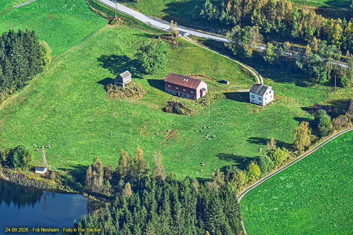 Frå Nesheim
