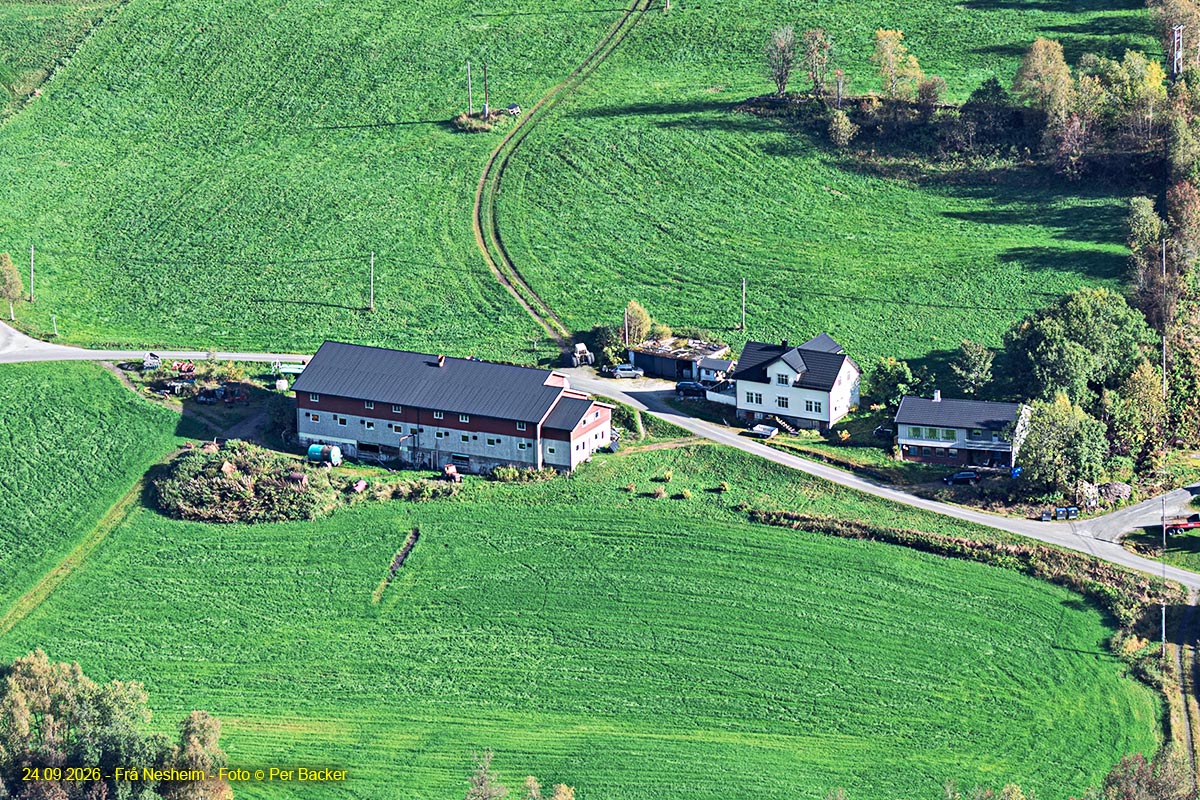 Frå Nesheim