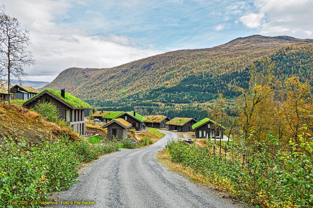 Frå Hagamyra