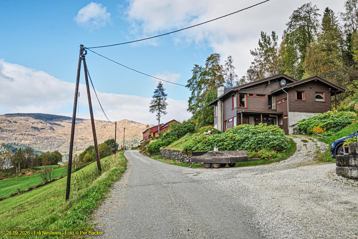 Frå Nesheim